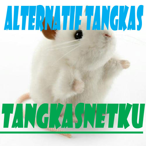 alternatif tangkas